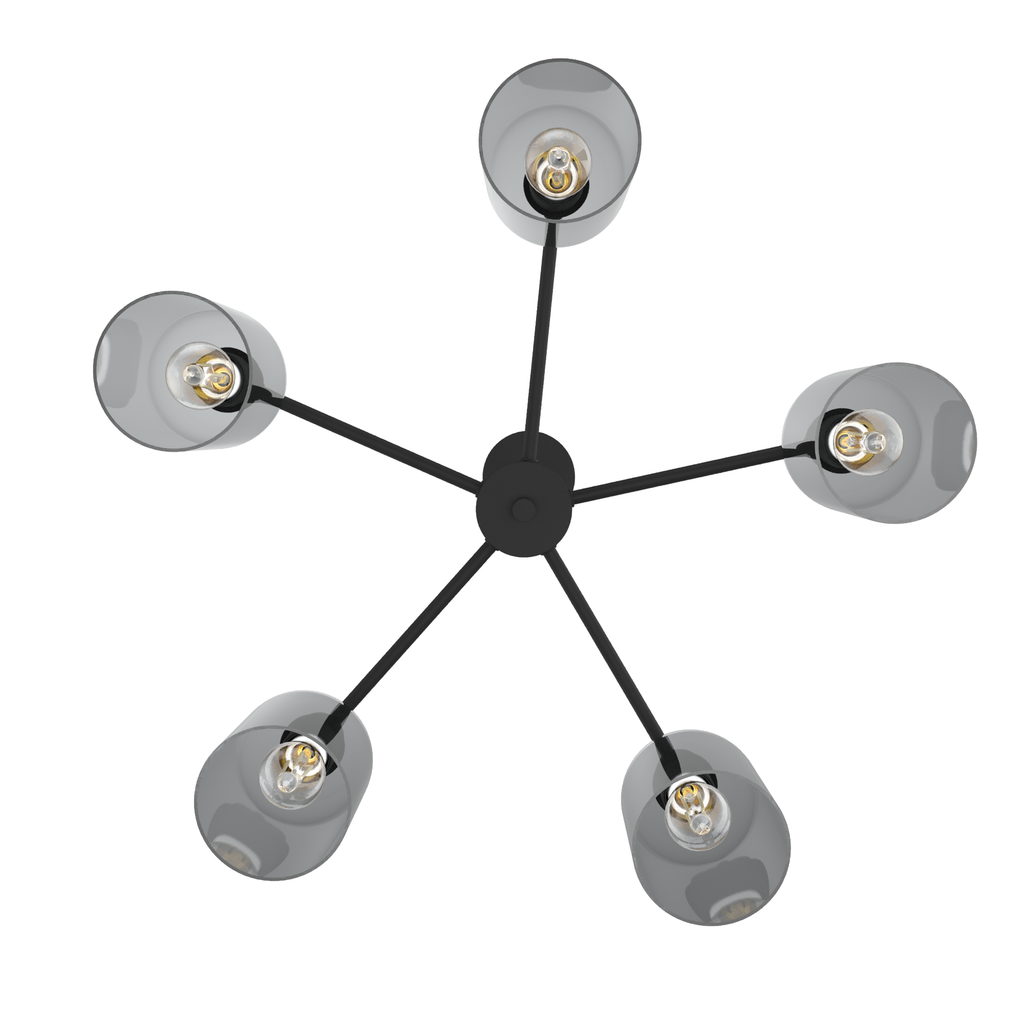 Lochemeade 26-inch 5-light Natural Black Iron Chandelier with Smoked Glass